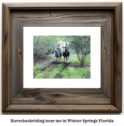 horseback riding near me in Winter Springs, Florida